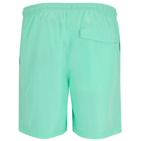 Pánske kraťasy Regatta Mackleyna Swim Short