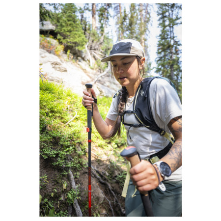 Trekové palice Black Diamond Pursuit Carbon FLZ