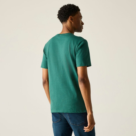 Pánske tričko Regatta Rendro