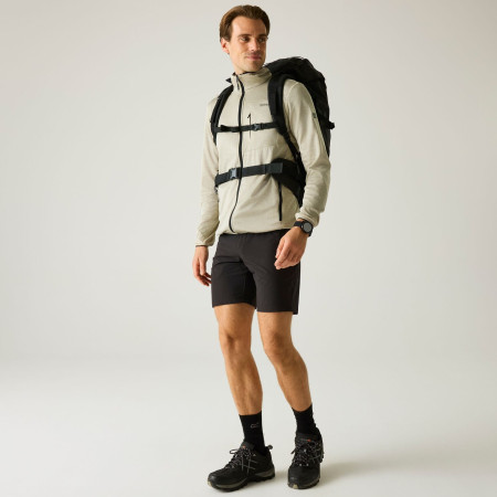 Pánska mikina Regatta Hillden Midlayer