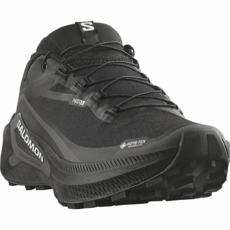 Pánske bežecké topánky Salomon Genesis 2 GTX