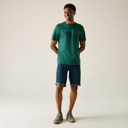 Pánske tričko Regatta Rendro