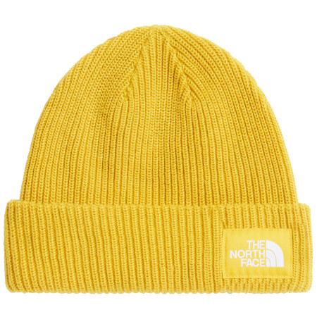 Čiapka The North Face Salty Lined Beanie
