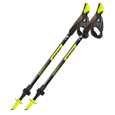 Nordic Walking palice Fizan R-Evolution