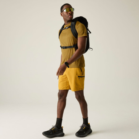 Pánske tričko Regatta Fingal Edition