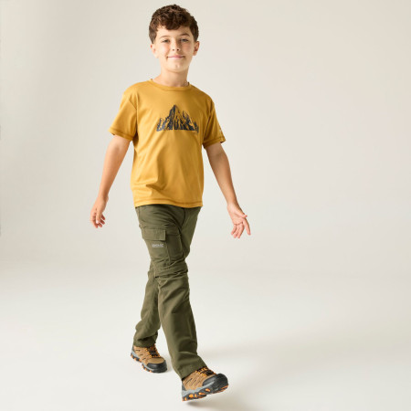 Detské nohavice Regatta Sorcer Z/O Trousers III Treetop