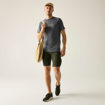 Pánske kraťasy Regatta Bendrick Shorts