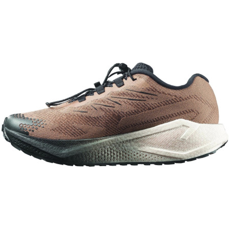 Pánske topánky Salomon Aero Blaze 4 Grvl