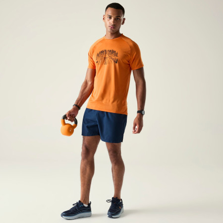 Pánske tričko Dare 2b Tech II Tee