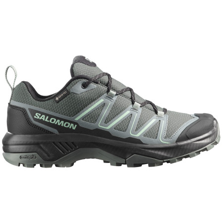 Dámske trekové topánky Salomon Exraise Gtx W zelená/sivá Urban Chic / Black / Lichen