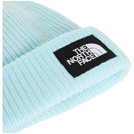Čiapka The North Face Salty Lined Beanie
