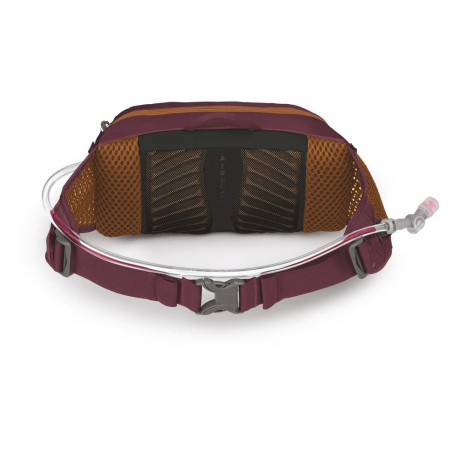 Ľadvinka Osprey Seral 4