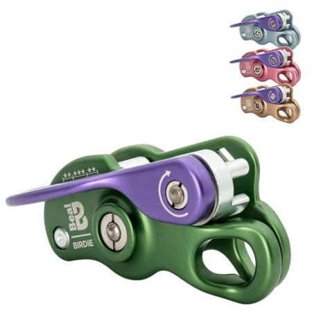 Istiacia brzda Beal Birdie