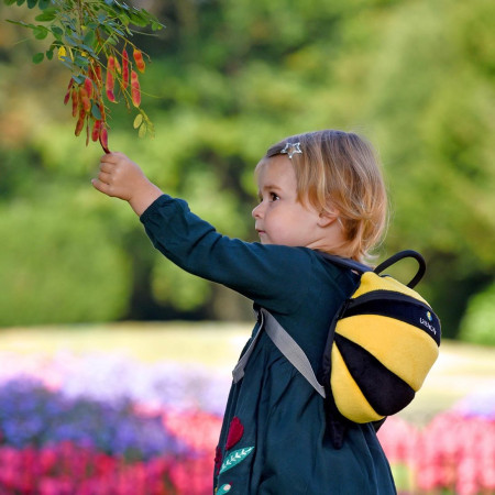 Detský batoh LittleLife Toddler Bee