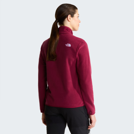 Dámska funkčná mikina The North Face W Glacier Fleece Jacket