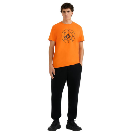 Pánske tričko 4F Tshirt M3138