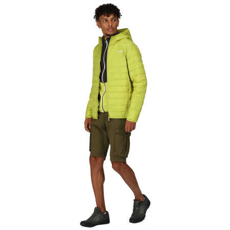 Pánska zimná bunda Regatta Hooded Hillpack