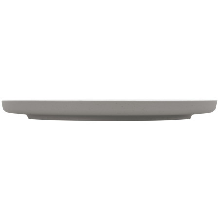 Tanier Brunner Dinner plate