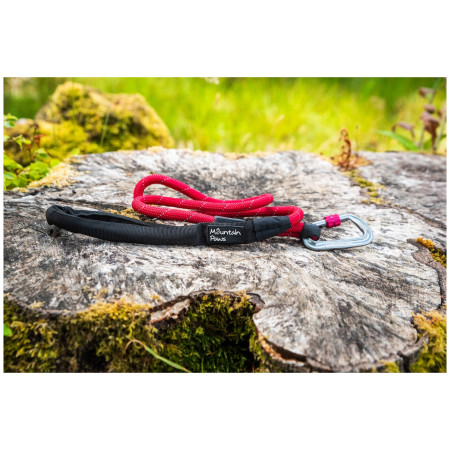 Vôdzka pre psa Mountain Paws Rope Dog Lead