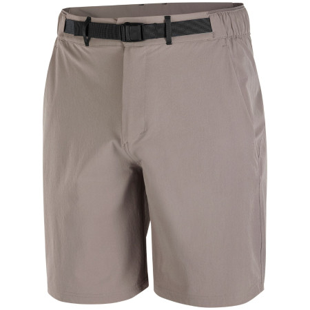 Pánske kraťasy Salomon Wayfarer 2.0 short M sivá Iron