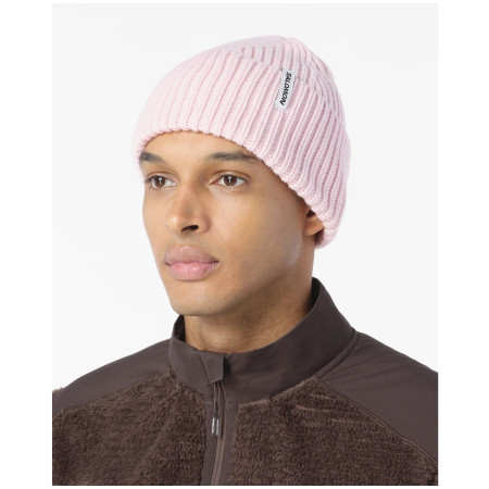 Čiapka Salomon Snowbird Beanie U
