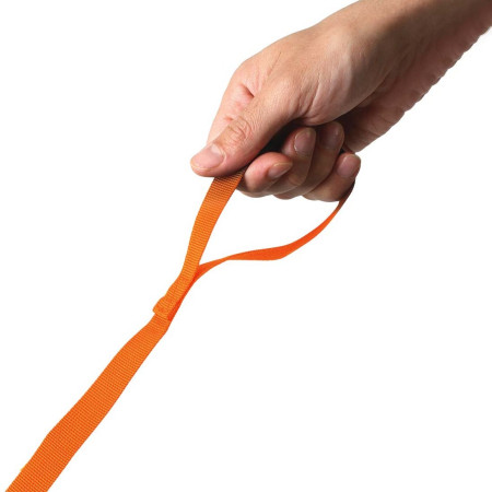 Detský batoh Littlelife Toddler Backpack, FF, Lion