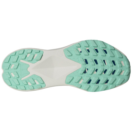 Dámske bežecké topánky The North Face Altamesa 300