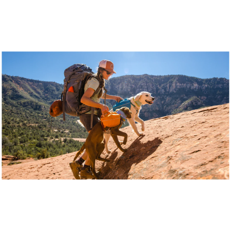 Batoh pre psa Ruffwear Approach™ Pack