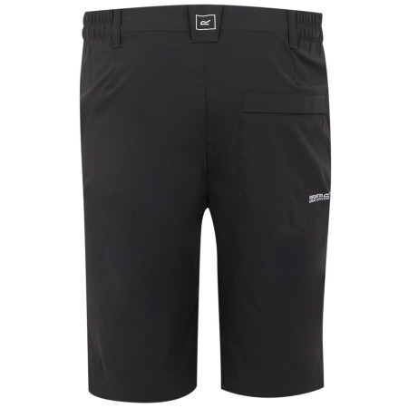 Pánske kraťasy Regatta Highton Shorts Long II