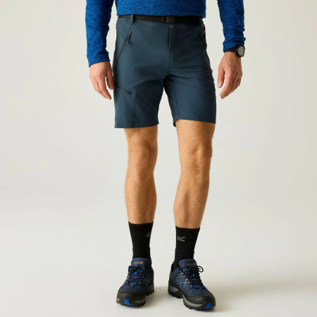 Pánske kraťasy Regatta Xert Stretch Shorts