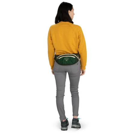 Ľadvinka Osprey Daylite Waist Black