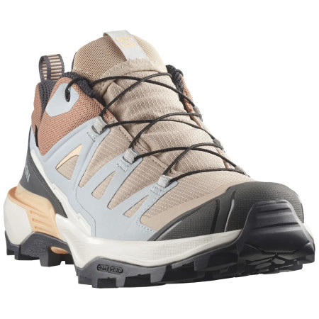 Dámske topánky Salomon X Ultra 360 Gore-Tex