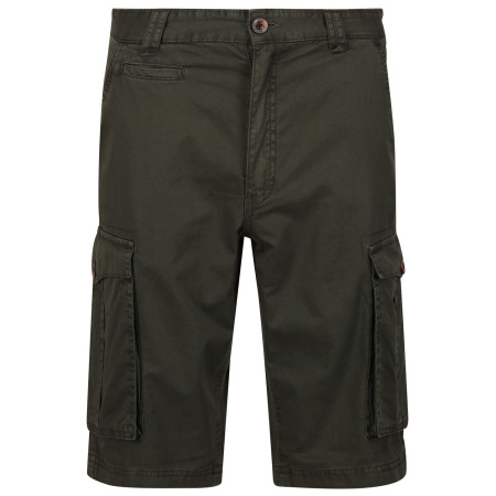 Pánske kraťasy Regatta Shorebay Short khaki Dark Khaki