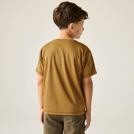 Detské tričko Regatta Alvarado Wood Brown