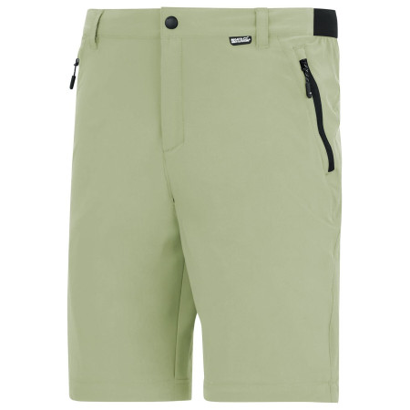 Pánske nohavice Regatta Anti-Insect Travel Light Z/O Trousers