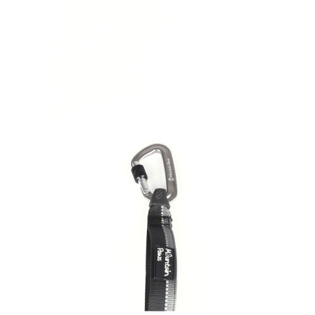 Vôdzka s amortizérom Mountain Paws Shock Absorber Dog Lead