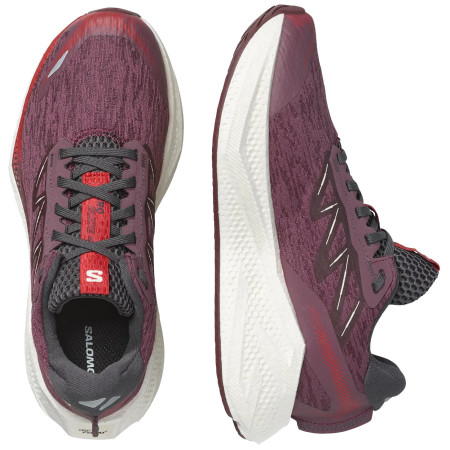 Dámske bežecké topánky Salomon Aero Glide 4