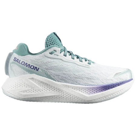 Dámske bežecké topánky Salomon Aero Glide 4