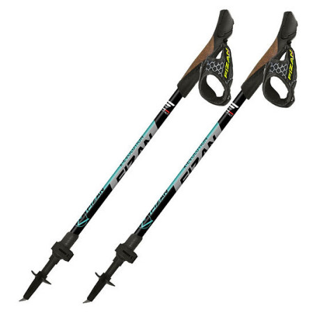 Nordic Walking palice Fizan R-Evolution