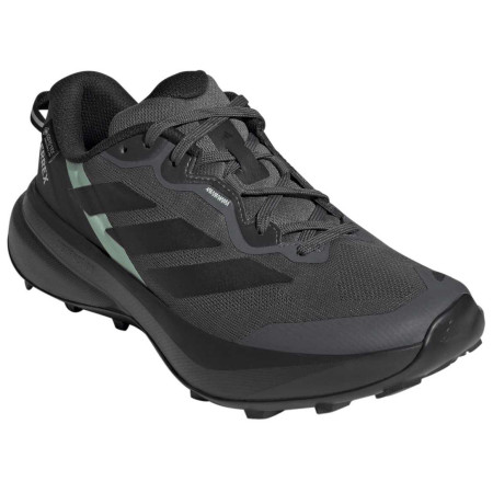 Dámske bežecké topánky Adidas Terrex Tracefinder Plus Gtx
