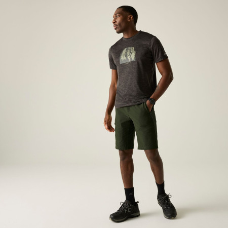 Pánske kraťasy Regatta Highton Shorts Long II