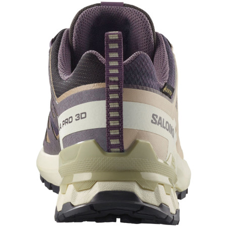Dámske turistické topánky Salomon Xa Pro 3D V9 Gore-Tex