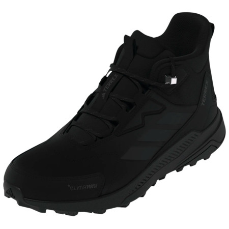 Pánske turistické topánky Adidas Terrex Anylander Leather Mid Climaproof