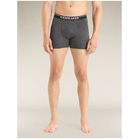 Pánske boxerky Icebreaker Mens Anatomica Boxers