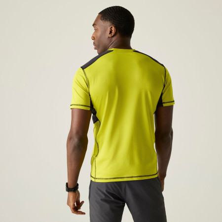 Pánske tričko Regatta Virda