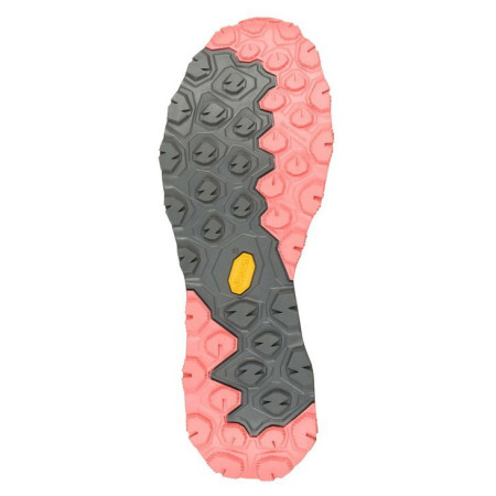 Dámske turistické topánky Aku Flyrock GTX Ws