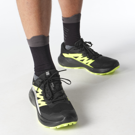 Pánske bežecké topánky Salomon Alphaglide Gore-Tex