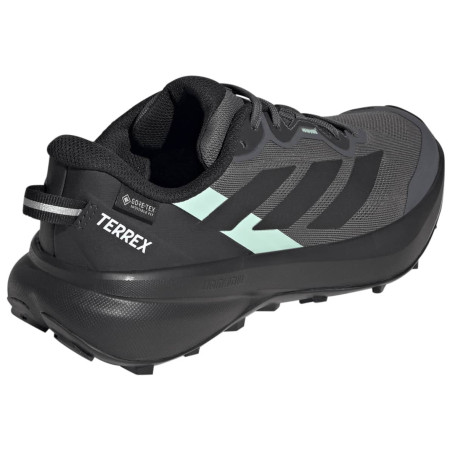 Dámske bežecké topánky Adidas Terrex Tracefinder Plus Gtx