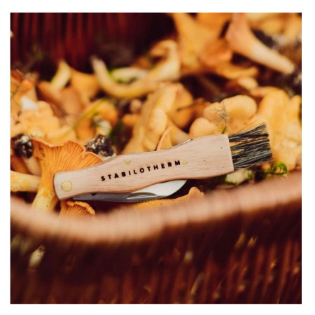 Hubársky nôž Stabilotherm Svampkniv 6 cm
