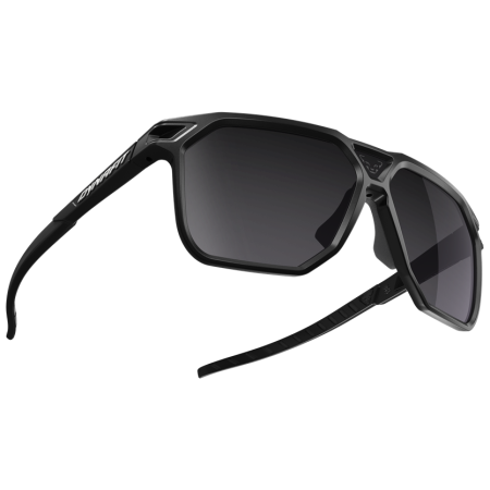 Slnečné okuliare Dynafit Traverse Sunglasses